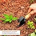Garden Little Tool Sets - Wooden Handle Black Metal Gardening Tools Include: Trowels, Cultivator and Trans-Planter - Awesome for Family Use Growing Mini Succulent