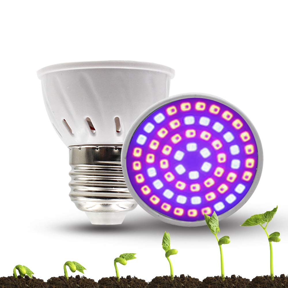 Catena Luminosa A LED Con Fiori In Rattan – 2 Metri, 20 LED, Bianco Caldo, Batteria