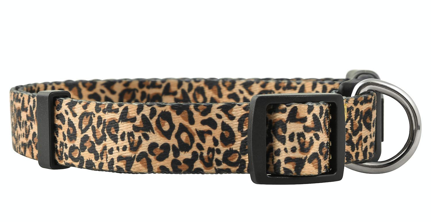 Photo 1 of Native Pup Leopard Print Dog Collar for Girly Gifts, Female Puppy, Cute Designer African Animal Pattern (Small, Leopard)