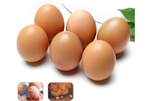 Js2U ZW Wooden Eggs Fake Eggs Easter Eggs Wood Eggs for Crafts Fake Chicken Eggs Nesting Eggs Easter Home Decor