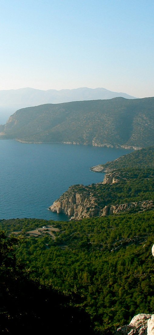 PeelitStickit, Beautiful Nature Wall Murals, ID-3155, vinyl