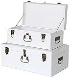 Vixdonos Decorative Metal Box Storage Trunks Set of