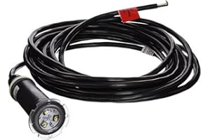 Pentair 602104 Globrite White LED Light 12V 100 ft. Cord