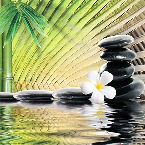 Spa Poster Treatment Relax “White Orchid, Bamboo Leaves and Water”. Wall Decoration Print 12x12
