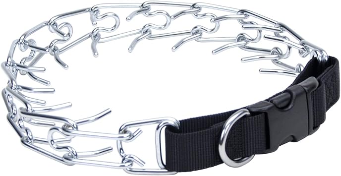 Titan Easy on Dog Prong Training Collar with Buckle, 22: Amazon.in