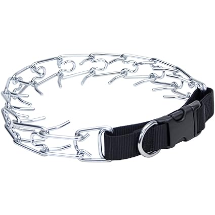 titan prong collar