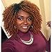 AisiBeauty Brown Kinky Curly Hair Wigs Heat Resistant Fiber Fluffy Wigs Short Ombre Synthetic Curly Wigs for Black Women African American Female