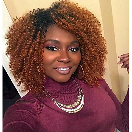 AisiBeauty Brown Kinky Curly Hair Wigs Heat Resistant Fiber Fluffy Wigs Short Ombre Synthetic Curly Wigs for Black Women African American Female