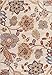 Ivory Beige Blue 7'10x10'2 Floral Area Rug Oriental Carpet Large New