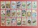 Food Fortunes Card Deck (Gifts for Foodies, Food Lover Gifts, Funny Tarot Cards, Funny Deck of Cards)