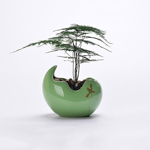 JKL-Soportes para Plantas Minimalista Macetas de Plantas y Verdes ...
