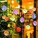 DecorNova 19.7 Feet 30-LED Battery Powered Rattan Ball String Lights with Waterproof 3AA Battery Case,2 Lighting Modes, Multi Colors