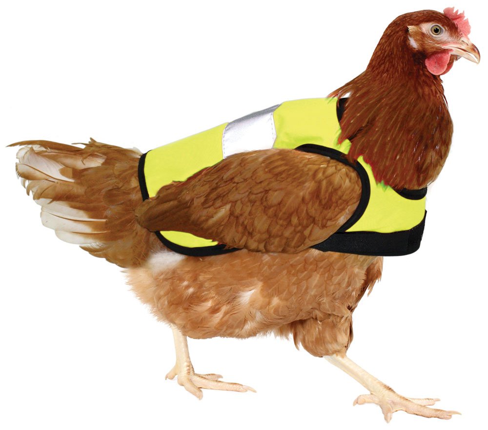 Omlet High-Vis Chicken Jacket | Warm Winter Hen Saddle | Insulation and Cold Weather Protection for Your Hen | Breathable, Showerproof Fabric | Yellow