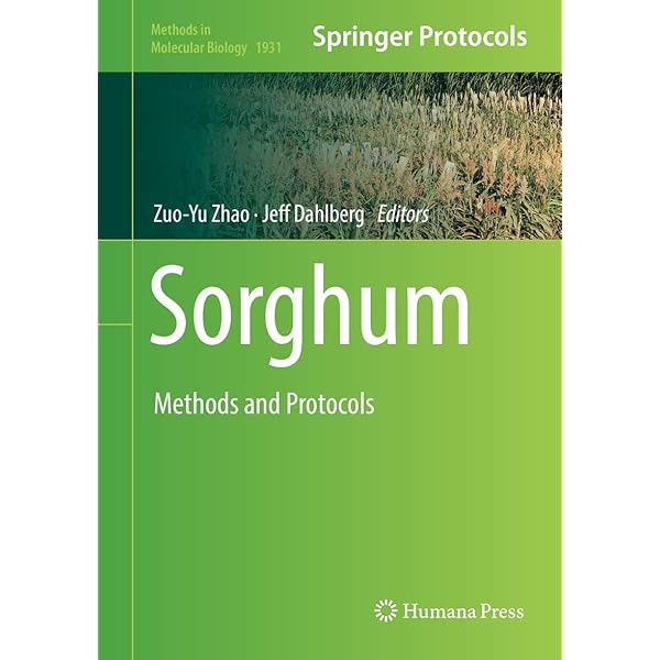 Tau Protein: Methods and Protocols (Methods in Molecular Biology， 1523) [ハードカバー] Smet-Nocca， Caroline Amazon | Tau Protein: Methods and Protocols (Methods in