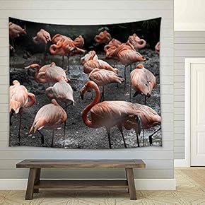 Group of Pink Flamingos in Bangkok Zoo - Fabric Wall Tapestry Home Decor - 51x60 inches