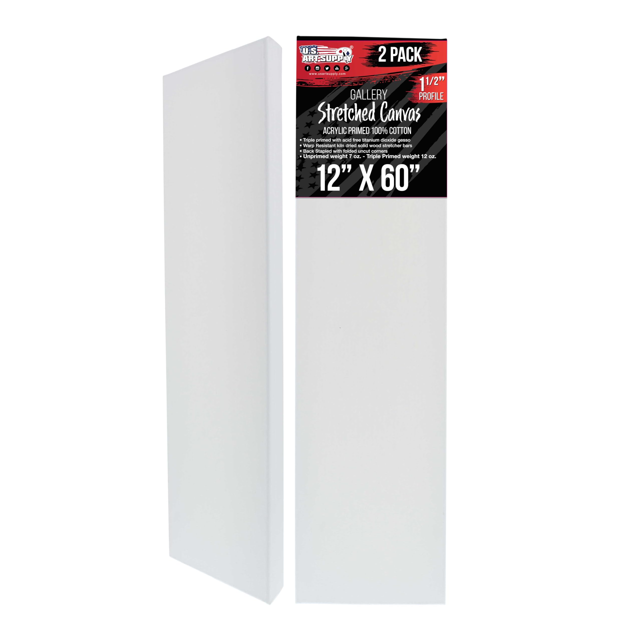 U.S. Art Supply Rectangle Stretched Canvas for Painting 12x60 inch Gallery Depth 1-1/2" Thick, 3-Pack - 12oz Acrylic Gesso Triple Primed, Professional Artist Quality, 100% Cotton - Oil, Pouring Paint Image