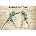 CCPARTON Boxing Anatomy Metal Tin Signs Vintage Signs Aluminum Sign for Bar Cafe 8x12 Inches Tin Sign