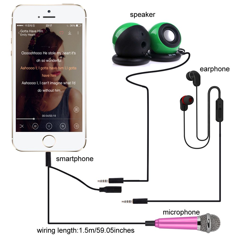 Kathy Universal Mini Microphone with Omnidirectional Stereo Mic for Voice Recording,Chatting and Singing on Apple Phone,Android Cellphones,Smartphone (Rose Red)