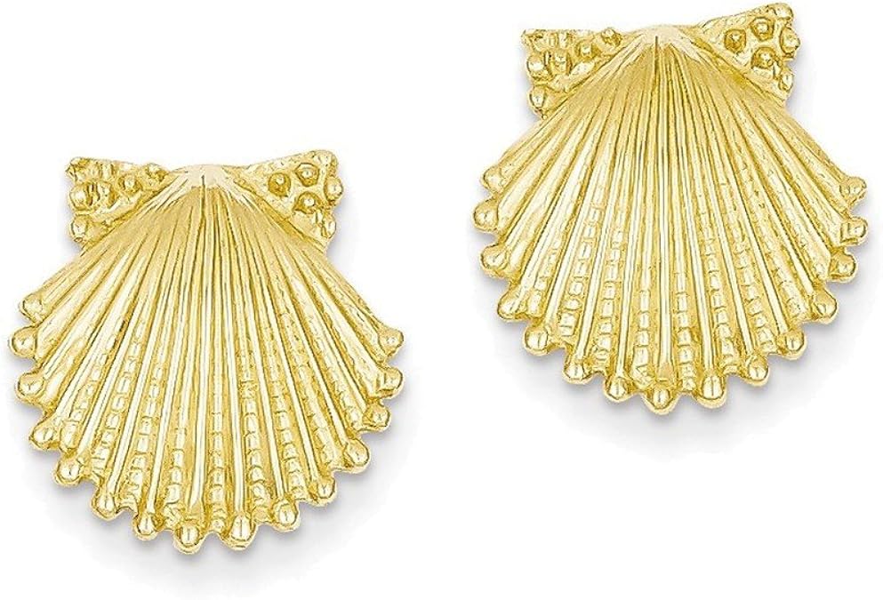 14k Shell Earrings Stud Earrings Jewelry