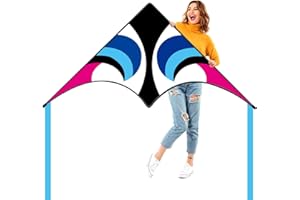 Kaiciuss Delta Kite for Kids & Adults Easy to Fly Large, Sing Line for Beginners, Easy Flying Kite for Boys & Girls with 4 Ri