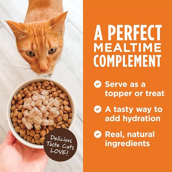 INSTINCT HEALTHY CRAVINGS NATURAL WET CAT FOOD TOPPER, GRAIN FREE RECIPE – VARIETY PACK, 3 OZ. POUCHES (PACK OF 12)