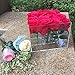 Wefond Clear Acrylic Flower Box Water Holder Vase Decorative Square Rose Pot Wedding Flower Gift Box Makeup Organizer (16 Holes)
