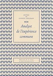 Analyse de l'expérience commune