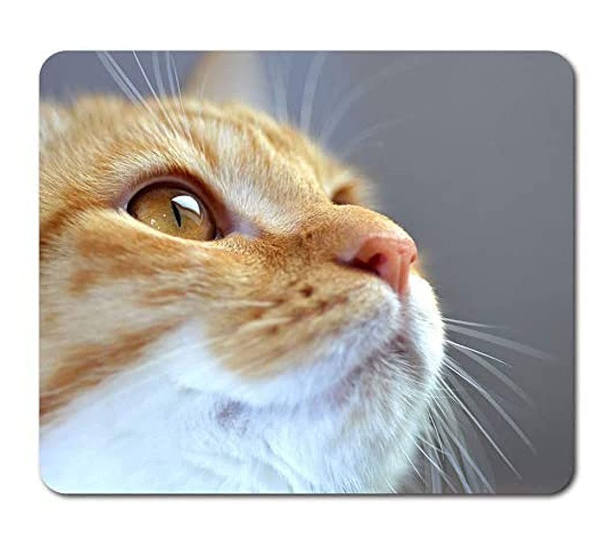 Ginger & White Cat Face Mouse Mat Pad - Mum Sister Daughter Cat Lover Kitten Pet Animal Computer Desk Accessory Gift #15270