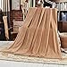 Shilucheng Luxury Fleece Blanket Super Soft and Warm Fuzzy Plush Lightweight King Couch Bed Blankets - Cream