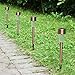 EcoCity 12-Pack Solar Lights Outdoor Garden Light Landscape / Pathway Lights Stainless Steel (Copper)