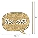 Big Dot of Happiness Two Much Fun - Girl 2nd Birthday Party Photo Booth Props Kit 20 Count