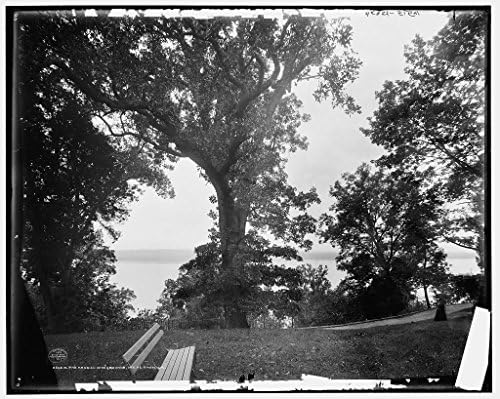 24 x 20 Art Canvas Print of c. 1901 The Mansion and grounds Mt Vernon Va by Detroit Publishing Co 7017B