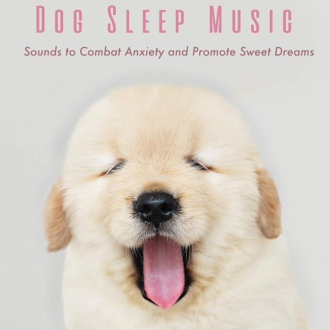 Dog Sleep Music Sounds to Combat Anxiety and Promote Sweet Dreams