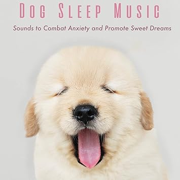 dog music dreams & relaxmydog calm my dog