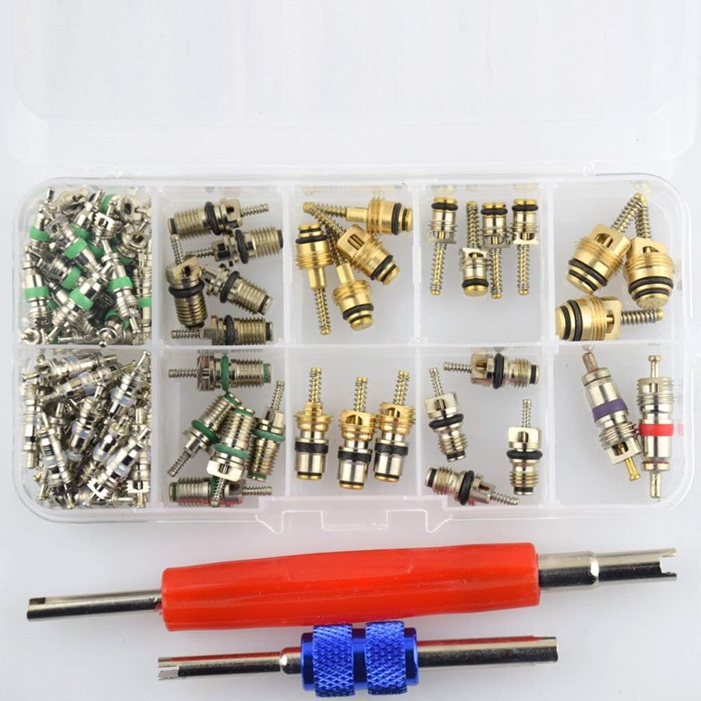 102 Pieces Assortment A/C Shrader Valve Core Tool Air