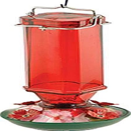 Amazon Com Audubon Vintage Spirits Hummingbird Feeder 16 Oz
