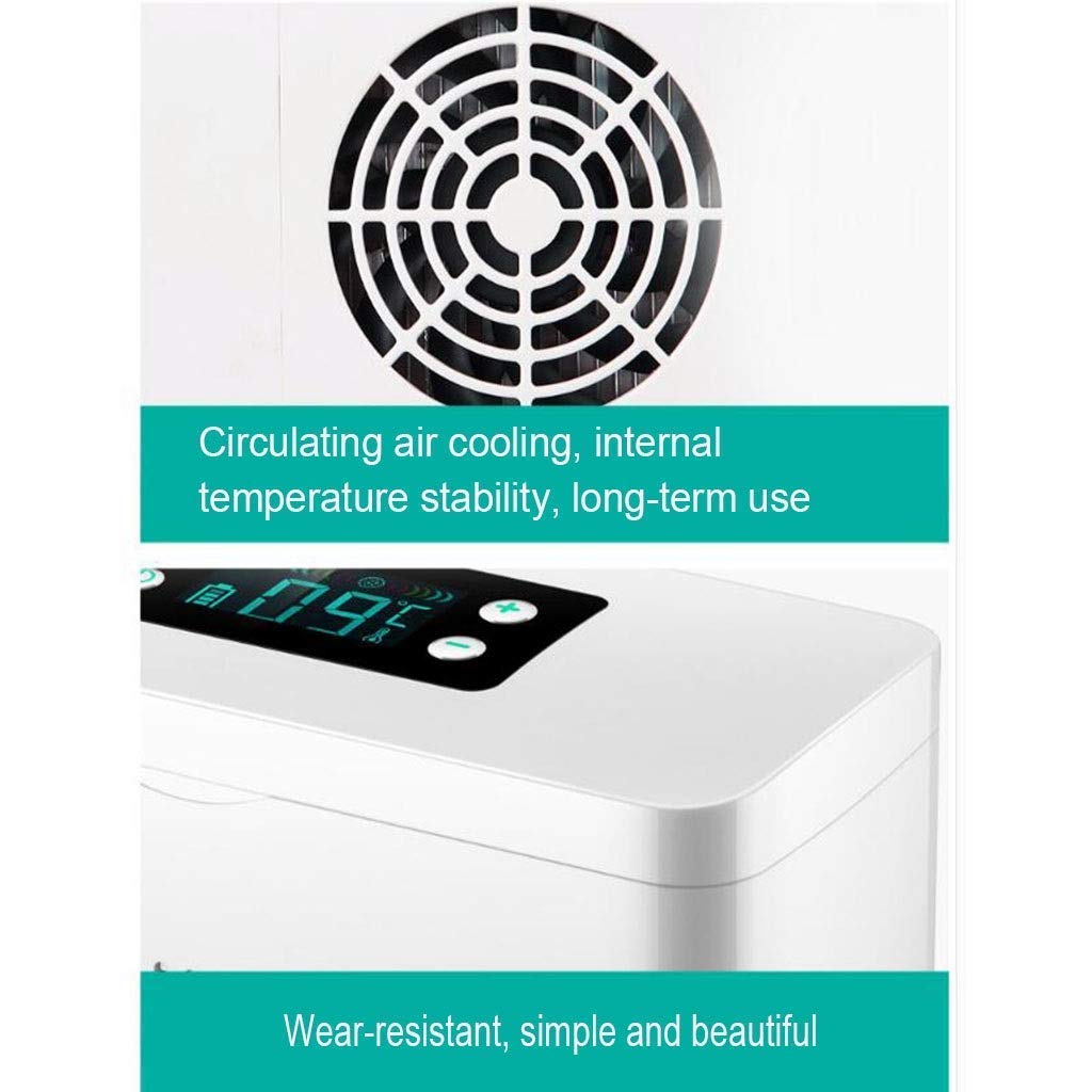 WYJW Mini refrigeradores Insulina Caja refrigerada Portátil ...