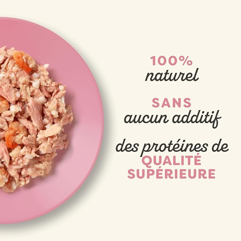 Comida húmeda Natural para Gatos en tarros, Filete de atún con gambas en Caldo, 10 x 60 g