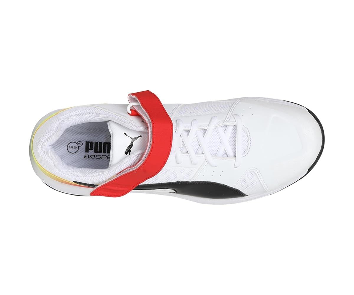 puma evospeed 18.1 cricket shoes