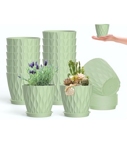 Amazon.com : Queen of Wrap Premium 4.5" Pearlizedd Floral foil Plant Pot  Covers - 5 Units (Rose Pink) : Patio, Lawn & Garden