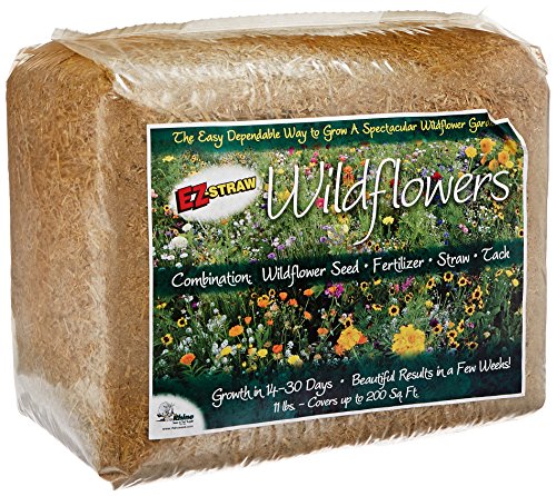 EZ StrawÂ® Wildflowers, Small Bale