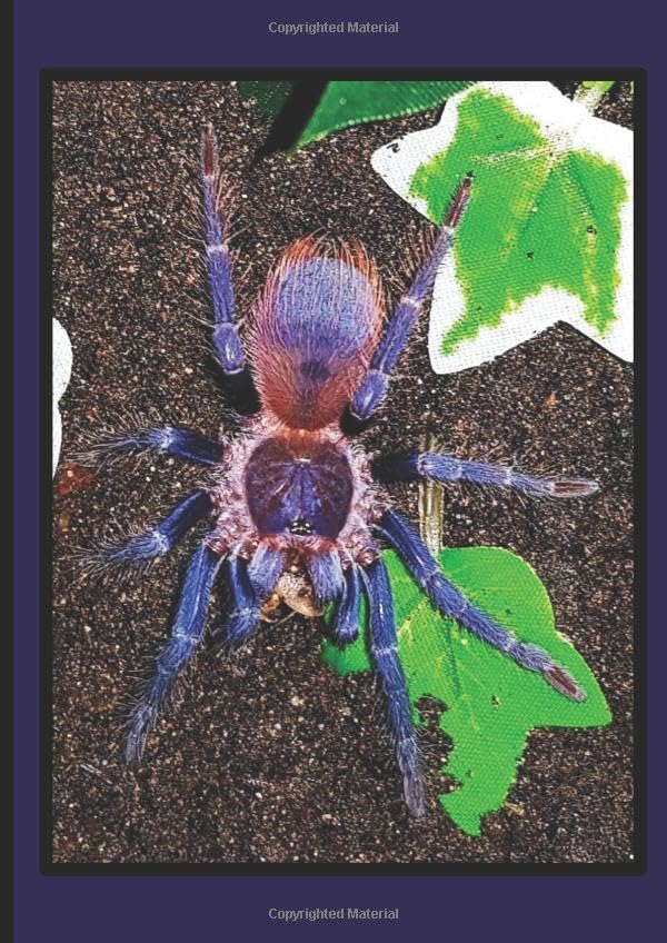 Love is a Pterinopelma sazimai: Brazilian Blue/Sazimai tarantula notebook