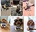 Teddy Dog Halloween Costume Cute Funny Pet Guitar Player Dress Up Party Clothes, M