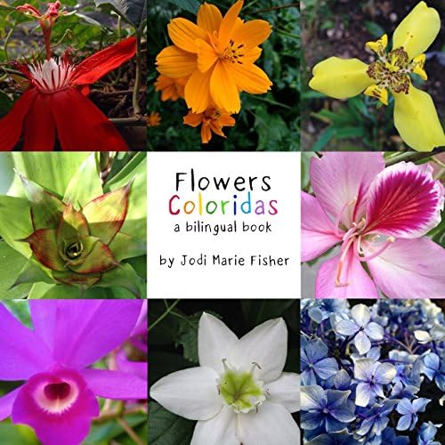 Flowers Coloridas: A Billingual Book of Costa Rican Flowers Paperback – 1 Jan 2018