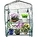 Kendal Garden Mini Greenhouse (2 Tier)