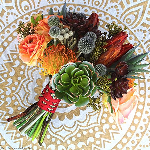 Afloral Natural Dried Flower Protea Repens Pods in Red Orange - 6 per Bunch