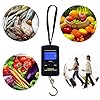 WiseField-88lb40kg-Hanging-Scale-Luggage-Digital-BackLight-Fishing-Pocket-Weight-Dark-Blue