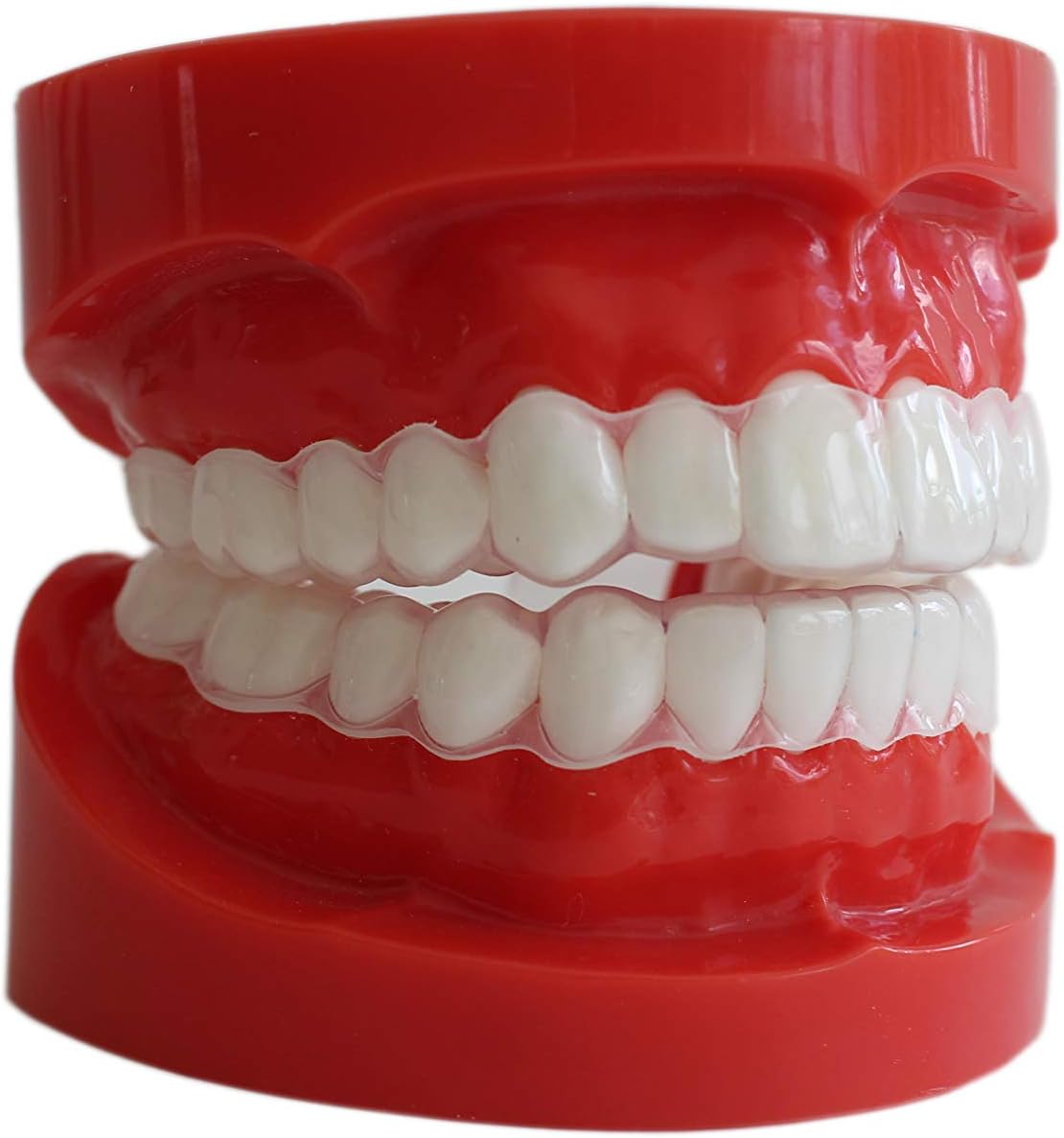 Sentinel Mouthguards Dental Guards for Tongue or Cheek Biting | Upper & Lower Set | Thin Comfortable Durable for Tongue Damage Protection | Treats Relieves Nocturnal Tongue Biting | 1 Year Warranty