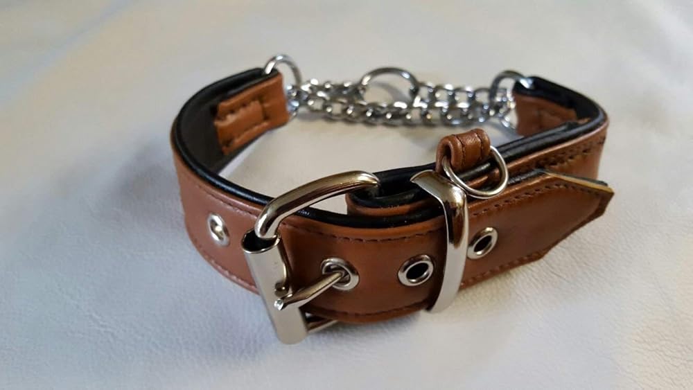 Tan on Black Leather Martingale dog Collar with Extra id Loop Ring
