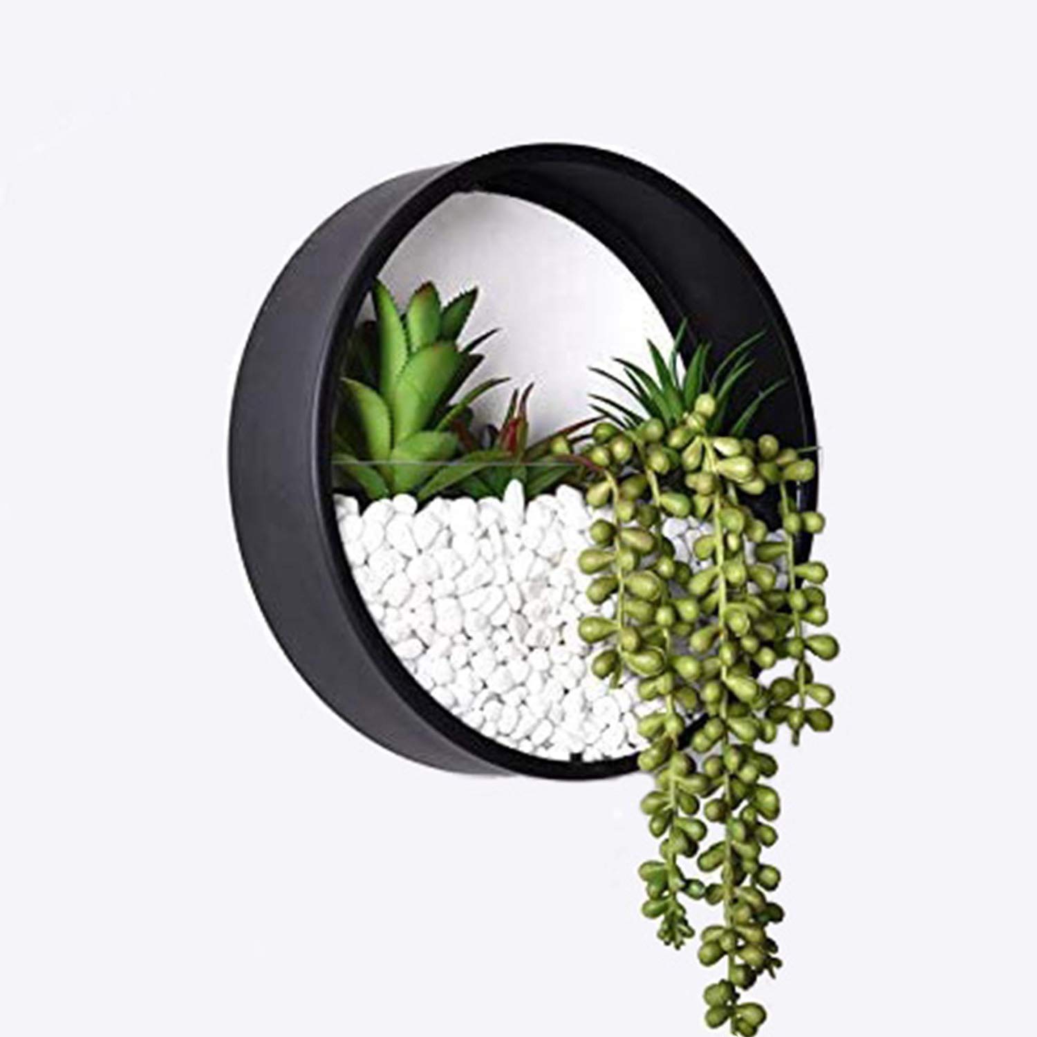 Ecosides Wall Vase,Round Metal Iron Glass Terrarium Wall Hanging Planter Wall Plants Holder Flower Pot Container Art Wall Decor for Planting Air Plants, Succulent,Moss ( Black,12")